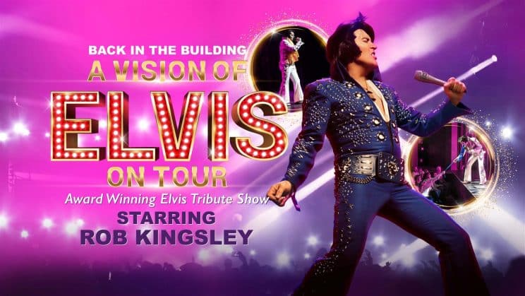 A Vision of Elvis